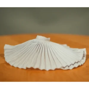 White pleated skirt